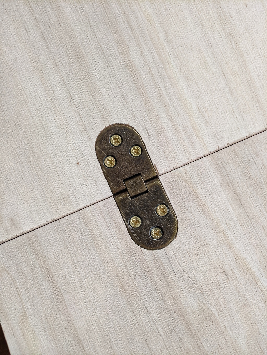 Counter-flap hinges in poplar ply